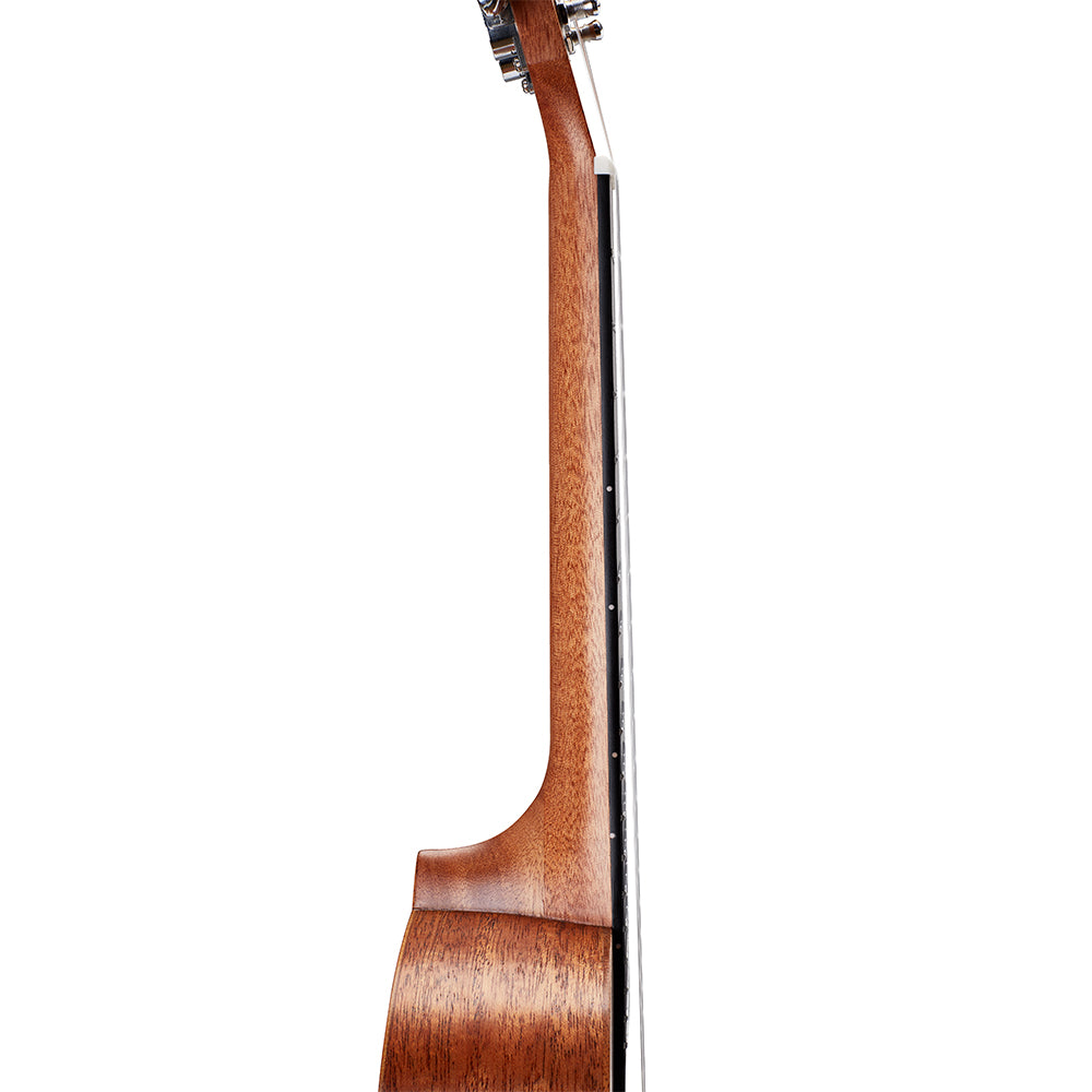 T5